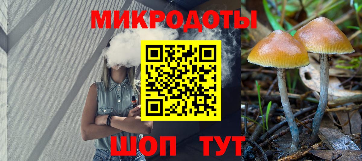 Псилоцибиновые грибы мицелий Ахтубинск