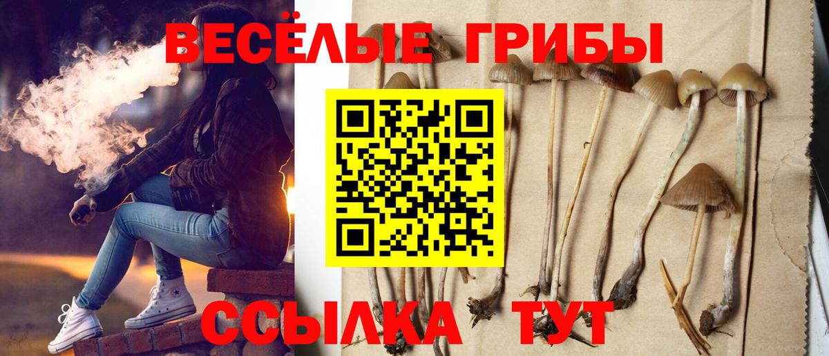 Псилоцибиновые грибы Cubensis  Псилоцибиновые грибы прущие грибы  Вход с VPN  Ахтубинск 